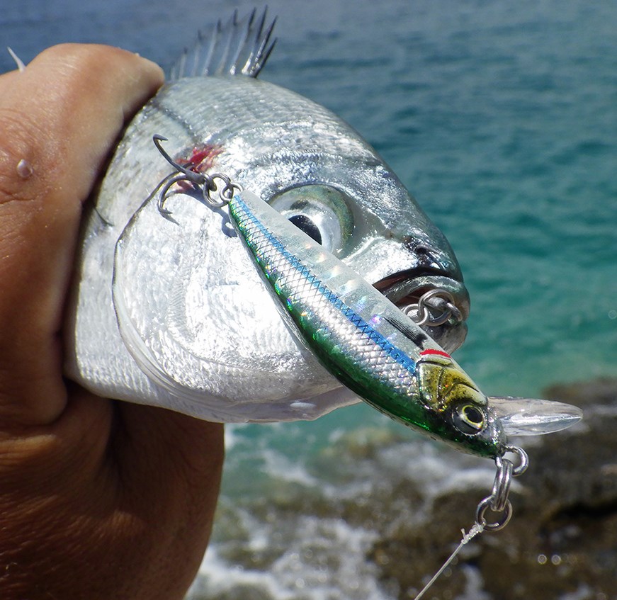 Savage Gear Wobler Gravity Minnow Sinking Pink Barracuda PHP 5 cm 4,3 g (2)